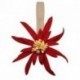 MAGNET EDELWEISS