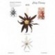 MAGNET EDELWEISS