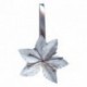 MAGNET "CLEMATITE"