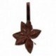 MAGNET "CLEMATITE"