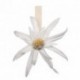 MAGNET EDELWEISS