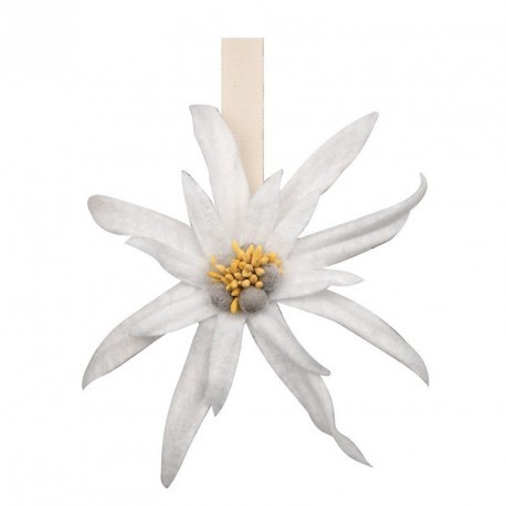 MAGNET EDELWEISS