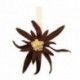 MAGNET EDELWEISS