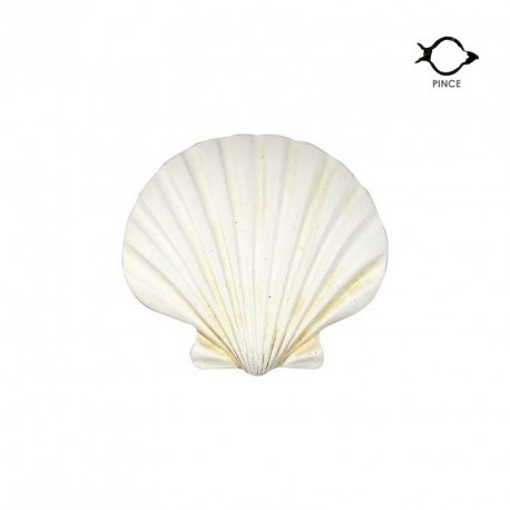 CLIP COQUILLAGE X 2