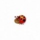S ECUSSON INSECTES BRODES