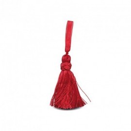 TASSEL