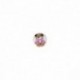 BUTTON BABY BEAR 2 HOLES
