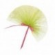 TULLE PAILLETTE