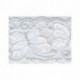 DENTELLE ELASTIQUE 65MM