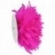 FRANGE PLUMES CARTE 0.50M