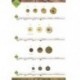 RAW COCO BUTTON