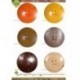 maxi bouton coco 4 trous