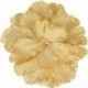 FLEUR PIVOINE S/BROCHE