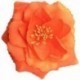 FLEUR FLUO S/BROCHE