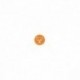 2-HOLE BUTTON "BEAR"