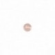 2-HOLE BUTTON