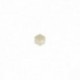 BOUTON HEXAGONE