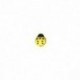 BOTTONE