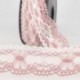 TWO-TONE LACE (PLAIN4354)