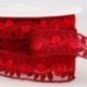EMBROIDERED BRAID 23MM