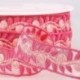 EMBROIDERED BRAID 23MM
