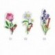 M LANGAGE DES FLEURS