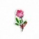 M LANGAGE DES FLEURS