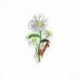 M LANGAGE DES FLEURS