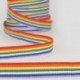 RAINBOW RIBBON