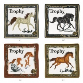 M ECUSSONS CHEVAL TROPHY