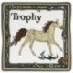 M ECUSSONS CHEVAL TROPHY