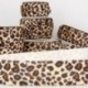 LEOPARD SAMTBAND