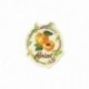 M MOTIF FRUITS