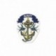 M MOTIF ANCHOR