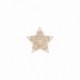 S MOTIF EMBROIDERED STAR