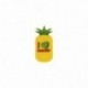 M PATCH PINEAPPLE CACTUS