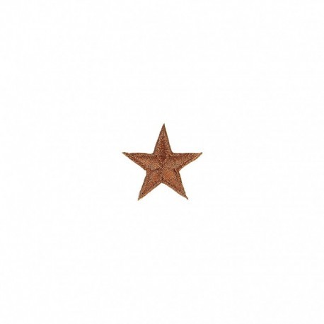 S ECUSSON ETOILE BRILLANT E