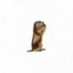 M PATCH GROUNDHOG PROFILE