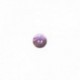 ROUND BUTTON