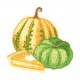 APPLIKATION "HERBST"