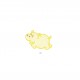 M HIPPOPOTAME