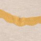 ELASTISCHE FESTONIERTE SPITZE