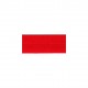 LINGERIE ELASTIC 20MM