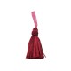 TASSEL