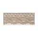 DENTELLE