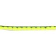 GALLONE POMPON 5MM