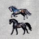 M APPLICAZIONE CAVALLO