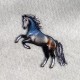 M APPLICAZIONE CAVALLO