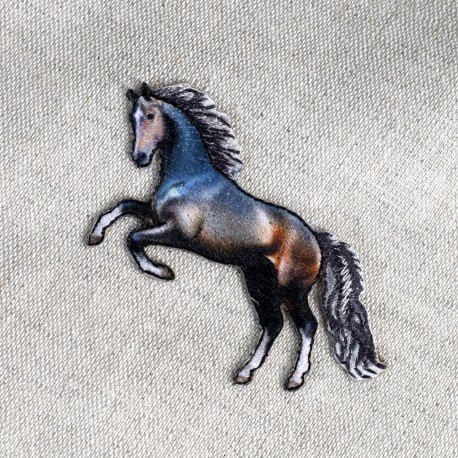 M APPLICAZIONE CAVALLO