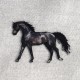 M APPLICAZIONE CAVALLO